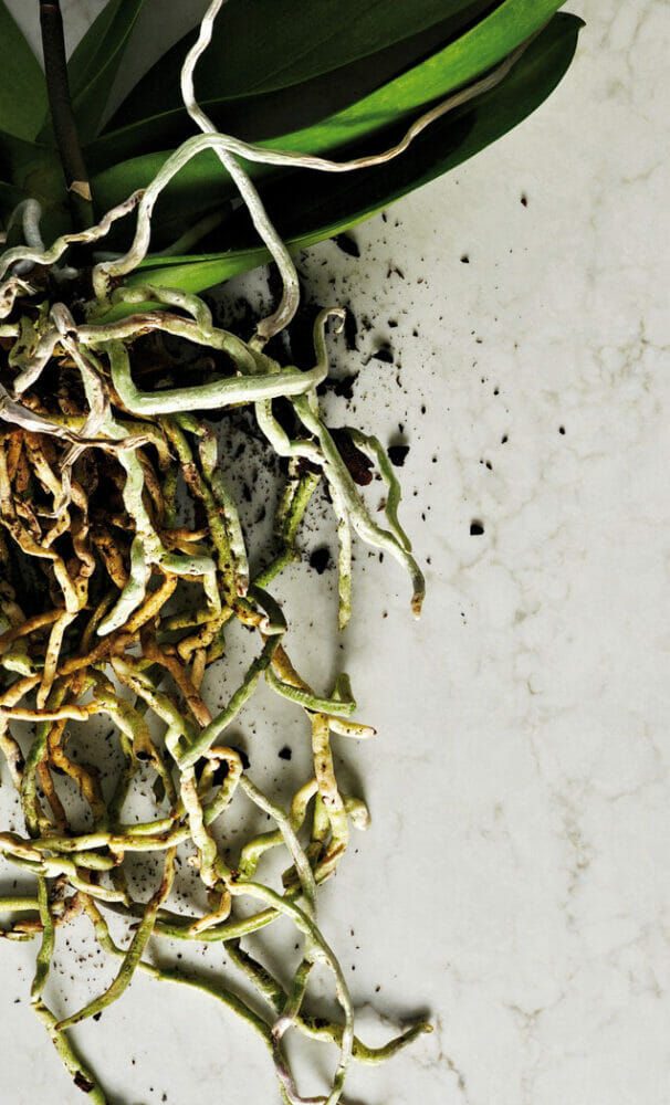 5000_Lomdon_Grey_opt-1920X1080