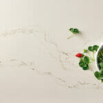 5111_Statuario-Nuvo_cu_landscape_1-_1920X1080