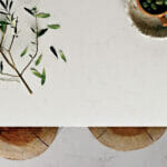 5141_Frosty-Carrina_olives-1920X1080