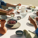 515_Palm-Shade_2_DPS-1920X1080