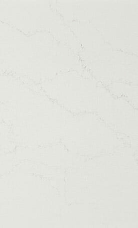 515_Palm-Shade_CU_50x70cm_1920x616px