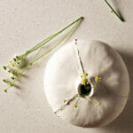 6141_Ocean-Foam_CloseUP-1920X1080