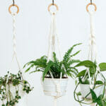 Eclectic 2. materials - Lace_ macramé