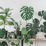 Nordic 3. Complementary accessories