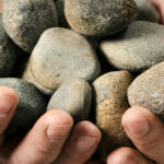 sustainability_1903_624px