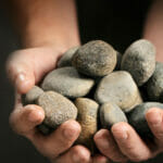 sustainability_b_1903_624px