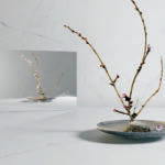 504_Lumena_504_Lumena_hz_jpg