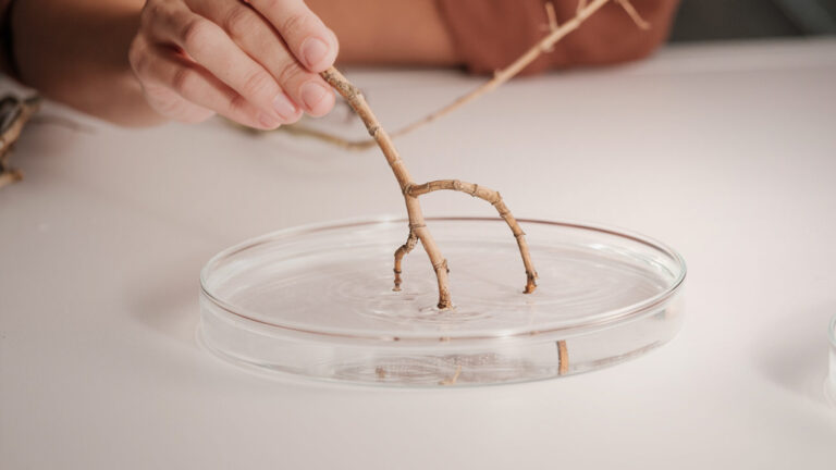 230727_MineralLP_1920x1080_V01