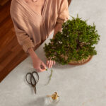 Caesarstone Nurture your space with recycled material surfaces