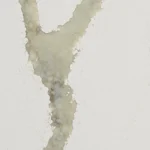 Caesarstone 8104 Calacatta Thyme