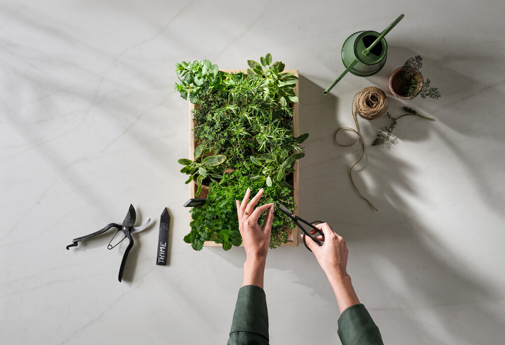 Caesarstone ICON 8101 Clearlight surface