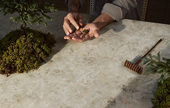 Caesarstone Lioli 542 Mosstone surface