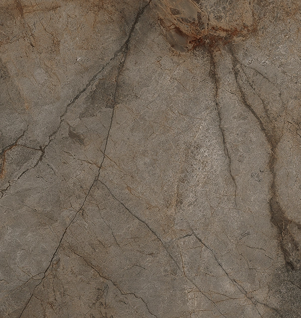 Caesarstone Lioli Porcelain 910 SilverRiver surface